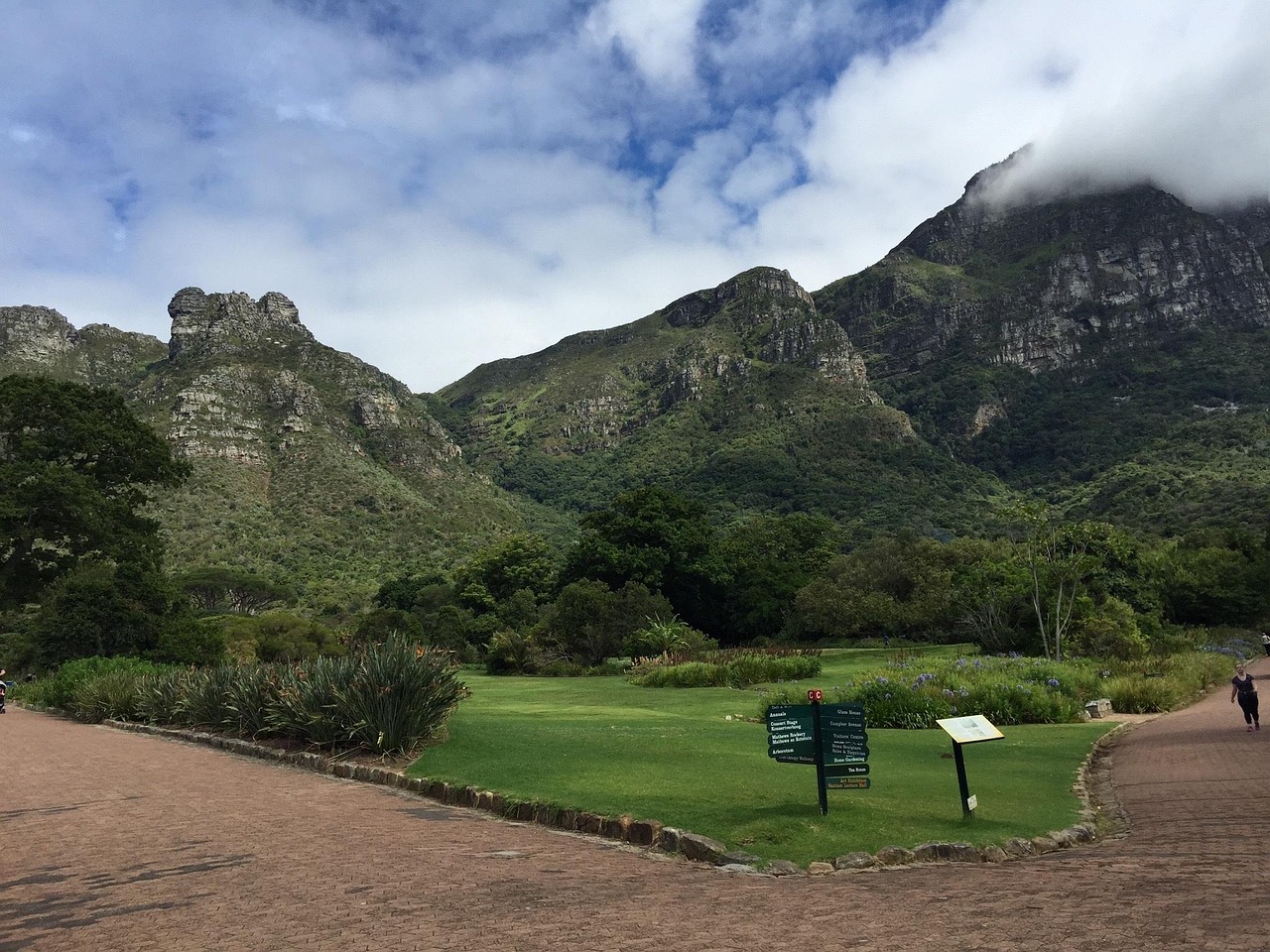 Kirstenbosch Gardens